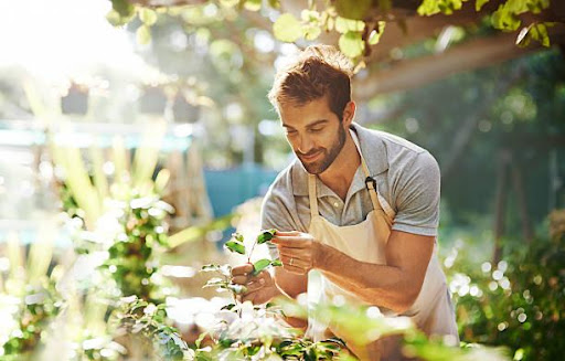 Gardening